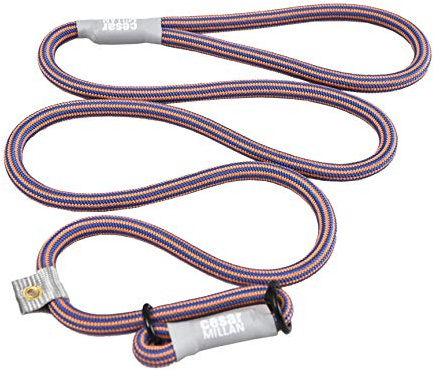 Cesar Millan Leine - Trainingsleine für Hunde - 2in1 Halsband Hund und Leine - Slip Lead - Retrieverleine mit integrierter Halsung (Regular, Orange)