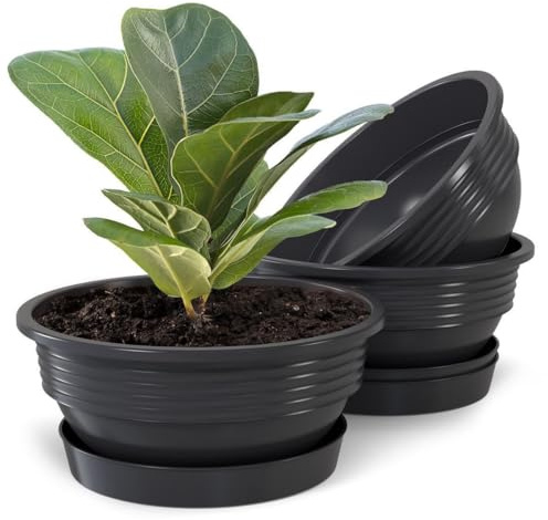 Plastard 3er Set Pflanzenschalen Ø 40 cm mit Untersetzer rund – Anthrazit | Witterungs-, UV- & frostbeständig, inkl. 30 cm Untersetzer, ideal für Garten, Balkon & Innenbereiche, Deko Blumenschale