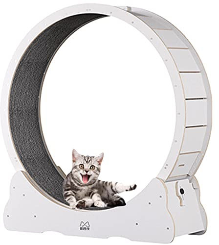 BLANKX Katzenlaufrad für Wohnungskatzen, Leises Kleines Mittelgroßes Laufrad für Katzen, Kleine Lücke Haustier Katze Laufrad Spielzeug mit Bremse,XL-White