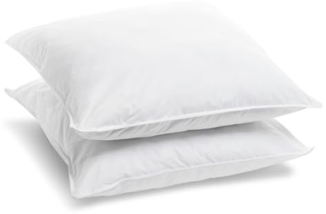 Bleu Calin Lot de 2 Oreillers Anti-Acariens, Anti-punaises de lit, Confort moelleux, 60 x 60 cm, Enveloppe microfibre, gamme Protection Totale, Blanc