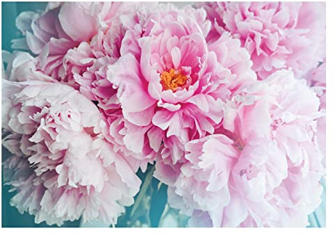 WallArena - Vlies Fototapete Blumen Rosa Pfingstrosen Große Rosen 368x254 cm - Fototapeten - Tapeten - für Wohnzimmer Schlafzimmer - Vliestapete Wandtapete Tapete 3D Effekt- inkl. Kleister