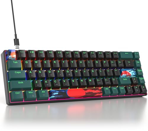 surmen Tastiera meccanica da gioco al 65% con interruttore rosso lineare, mini tastiera compatta cablata retroilluminata al 60% per laptop desktop PC gamers (68 onde sonore B-arcobaleno)