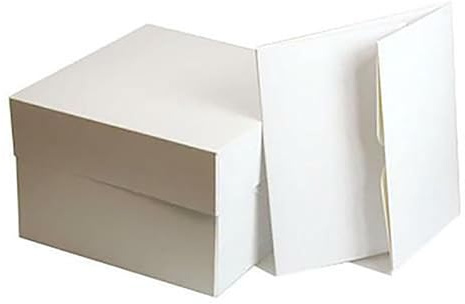 Van Der Linn 10 White Cake Box and Lid, 10 Inch Classic Square Box for Birthday Cake Transportation, Pack of 10