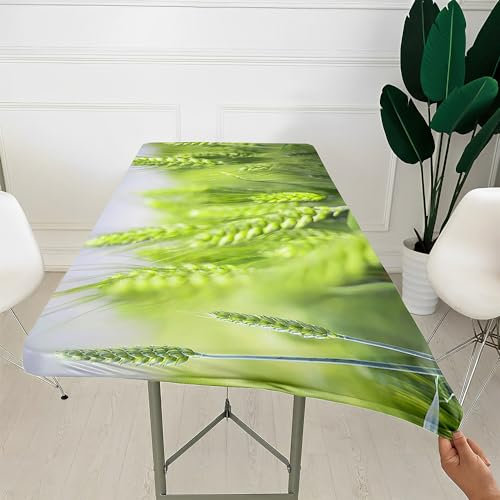 Morbuy Rechteckige Drucken Elastische Tischdecke, Rechteckig Tischdecke mit Gummizug Spanntischdecke Gartentischdecke für Outdoor Picknick Camping Partys (Grüner Weizen,4ft/122x76cm)