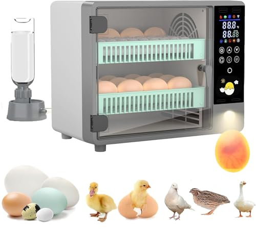 Vollautomatischer Inkubator für 24 Eier mit automatischem Drehen von Eiern und Befeuchtung durch Ultraschallbeströbung, Temperaturregelung, LED-Farbdisplay, Lichtlampe für Ei