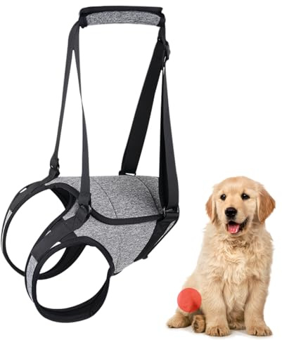 Senior Dog Lift Harness - Stödsbälte för husdjursmobilitet med handtag, bakre hjälprem | Canine Walking Aid för äldre, funktionshindrade, skadade hundar, gemensam återhämtning, bekväm återhämtningsutr