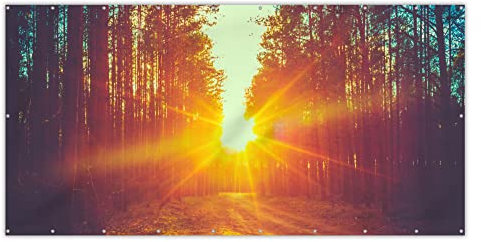 MuchoWow® Balkon Sichtschutz Sichtschutzmatte Balkonbanner Abdeckung für Terrasse Balkon Windschutz Blickdicht Wetterfest 300x120 cm Sonnenuntergang - Bäume - Wald - Natur