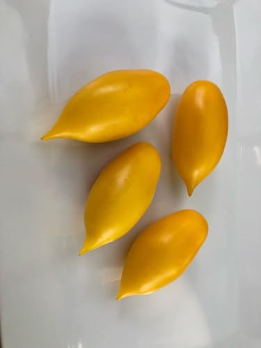Tomate Gelber Eiszapfen Sosuletschka 10 Samen