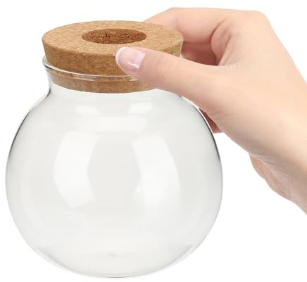 DECHOUS Hydroponische Glasvase Kugelform mit Stöpsel für Hydrokulturpflanzen Wasserpflanzgefäß für Studentenwohnheim und Schreibtischdekoration