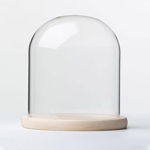 Glasglocke mit Massivholzsockel, Durchmesser 20 cm, ideal für Pflanzen, Ornamente und Figuren, dekorative Vitrine für Zuhause oder Büro
