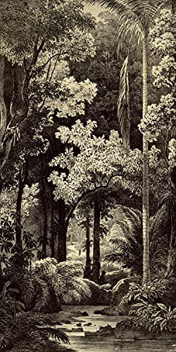 wandmotiv24 Türtapete Zeichnung Dschungel, Schwarz Weiß, Retro 90 x 200cm (B x H) - Dekorfolie selbstklebend Sticker für Türen, Türfolie, Aufkleber, M1345