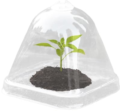 Cupole per umidità per piante, trasparente, per interni, 10 coperchi a isolamento termico per umidità, idratare, antipioggia, mini vaso per coltivazione, serra, protezione per piante grasse