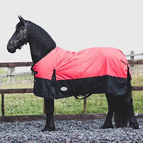eQuitack Your Passion Is Our Mission 1200 Denier Pferdedecke Outdoor Winterdecken Weidedecke mit 100 G Füllung Regular Rot/Schwarz 125cm
