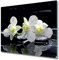 Planche à Découper en Verre Trempé 60x52 cm Avec Impression Décoration Résistant à la Chaleur Modernité Symétrique Contact Alimentaire Bords Polis Pieds Antidérapants - Orchidée