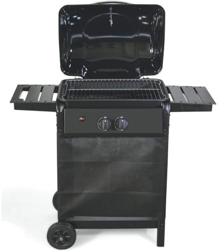 Barbecue a Gas 2 Bruciatori Nero con Coperchio Termometro Ruota e Sportelli