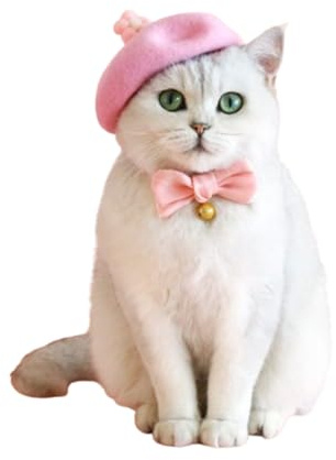 SUYUKU Katze Hut Baskenmütze Katzenbekleidung Mit Katzenhalsband Schleife Kopfbedeckung für Katzen Welpen Haustier Kostüm für Katzen (Rosa)