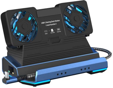 LYEAA 4K Docking Station with Gigabit Ethernet Dual Cooling Fans for Go More Game console TYPE-C expansion dock hard disk box hub