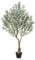 Verinatural Olivo Artificial Planta Artificial Grande 150 CM - UV Resistente 1012 Hojas Realistas Ramas Ajustables y 48 Frutas Árbol Artificial Interior Exterior - Hogar Salón Terraza para Decorativas
