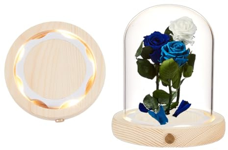 NBEADS Campana A Cupola In Vetro con Base Luminosa A LED, Cupola di Vetro Ad Alta Trasparenza per Esposizione di Fiori Eterni per Centrotavola Rocce Esemplari Decorazioni, 115x130mm, Arco