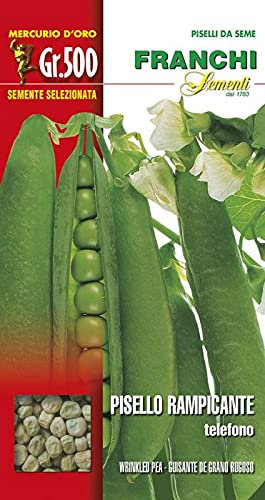 Semi Pisello Rampicante Telefono Franchi Sementi 500g