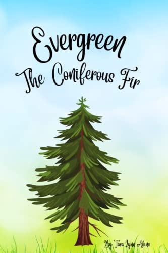 Evergreen: The Coniferous Fir