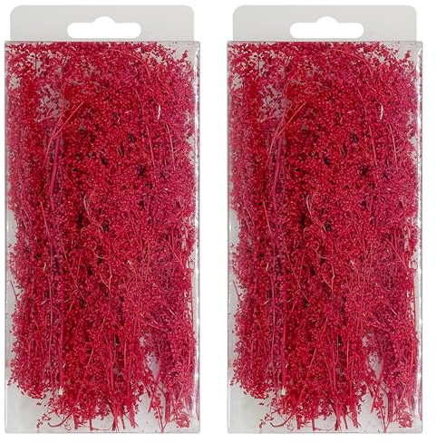 Woohome Ramas de Arbustos en Miniatura, Modelo de Césped Estático, Racimo de Arbustos Grass Tufts para El Paisaje del Jardín de Bricolaje, Rojo