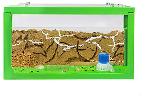 AntHouse - Ameisenfarm mit Ameisen Starterset | 3D Ameisenfarm 20x10x10 cm Grün | Ameisen inklusive