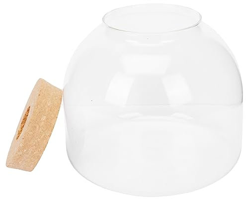 Zerodeko Elegante Glaskanister-pflanzenlandschaftsflasche Leicht Zu Reinigen Für Das Büro Zu Hause
