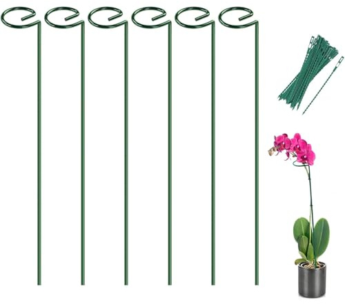 Joyhalo Lot de 6 piquets et supports pour plantes, piquets de fleurs de 40,6 cm et support pour plantes de jardin d'extérieur, phalaenopsis, blancs, lis orientaux, zinnias, orchidées, delila, lys