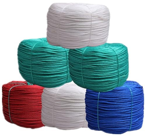 Garten Schnur 1/2/3/5/7/8/10/12/14mm/1000g/teile PE Hängende Sämling Polyethylen Seil Kunststoff Nylon Fischernetz Seil Weiß Blau Rot Bindung (Color : 2mm White 1kg)