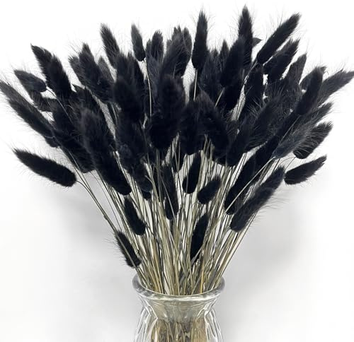 Songjum 120Stück Getrocknete Blumen Hasenschwänze Pampasgras Natürlicher Kaninchenschwanz Getrockneter Blumen Pampasgras Dekor für Wohnkultur Boho Zuhause Dekoration Blumenarrangements（Schwarz）