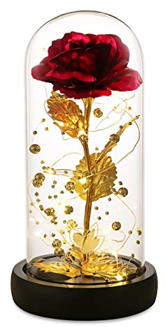 Valentines Day Gifts for Her,Valentines Gifts for Women,Flowers for Delivery Prime,Flower Galaxy Artificial Flower Light Up Rose in A Glass Dome,Anniversary Mothers Day, Birthday Gifts