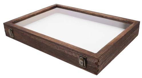 JECOMPRIS Caja caja de muestras de insectos Exhibidor de especímenes naturales contenedor de muestras exhibición de flores secas estuche de muestra plantas vitrina de mariposas portamuestras