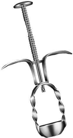 PRETYZOOM Cherry Seed Remover Manueller Entkerner Aus Werkzeug Zum Entfernen Von Fruchtkernen Für Kirschen Und Datteln Jujube-entkerner Küchenutensilien Küchenbedarf