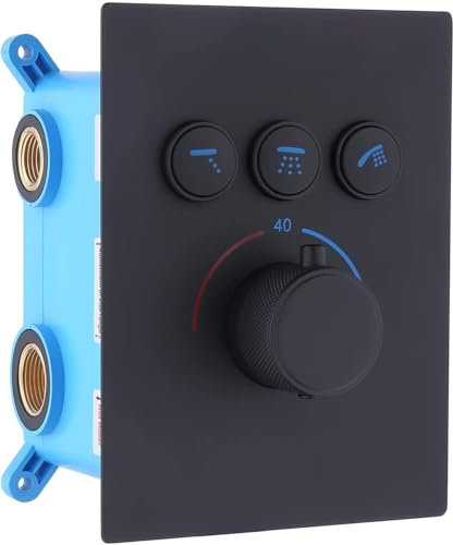 Delnet Thermostatic Shower Valve Brass Concealed 2 Way Outlets Shower Diverter Mixer Valve for Shower System, Can Use All Options at A Time (Black)