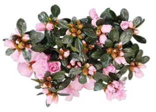 DECOALIVE Azalea Natural con Flores Rosadas – Ideal para Hogar y Oficina