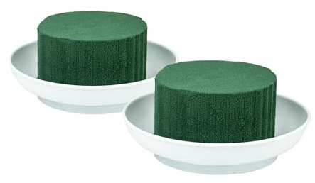 Nass Steckschaum Rund 8x5cm 2er Set mit Schale D.12cm - für Profi Floristen & Hobby Bastler - Frischblumen Steckschwamm Klein - Blumen Steckmasse - Floristik Zubehör & Floristikbedarf - Grün Weiß
