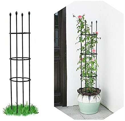 NWHJ Tuteur pour Plantes Grimpantes, Cages a Plantes, Jardin Support Treillis en Métal pour Pivoines, Hortensias, Roses, 20cm, 25cm,30cm,35cm Diamètre des Anneaux