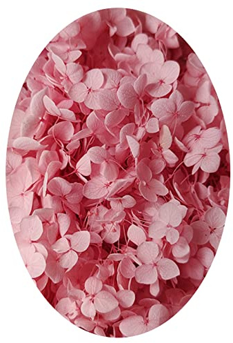 Bodhi2000 1 Box Konservierte Blumen Lang anhaltende schöne künstliche Hortensien Blumen Praktisch Rosa