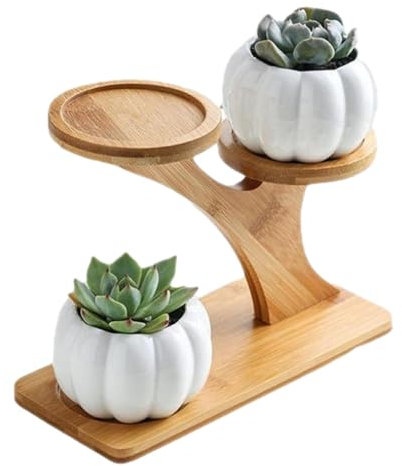 Mensola per piante grasse da davanzale – Espositore da tavolo a 3 ripiani, in , supporto per piante grasse da tavolo, organizer da scrivania, supporto multiuso per vasi da fiori per casa,