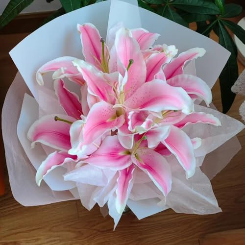 3 pcs lilien zwiebeln- gartenpflanzen winterhart mehrjährig pflanzen garten echte pflanzen deko garten blumen garten winterharte pflanzen für garten gartenblumen blumenzwiebeln pflanzen