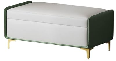 Moderne Schuhbank mit Hebebügel, stilvolle Fußstütze für Wohnzimmer und Schlafzimmer, Ledercouch in Grau und Grün, 60 cm