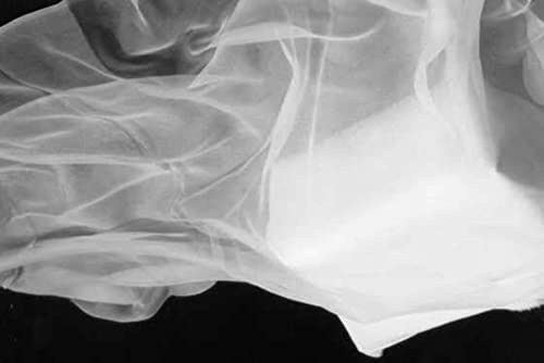 White Silk Chiffon Fabric 44 inch Wide~Flat Finish White 40 Grams