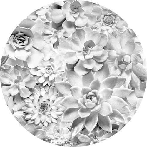 Komar DOT runde und selbstklebende Vlies Fototapete Echeveria - Ø Durchmesser 125 cm - 1 Stück - Tapete, Dekoration, Wandtapete, Wandbild, Wandbelag, Designtapete - D1-046