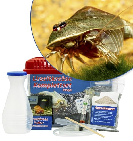 AQ4Aquaristik Triops cf. longicaudatus Hawaii Starterset: ca. 100 Urzeitkrebse Eier, 2,5 l Aquarium, Zubehör, Futter und Anleitung