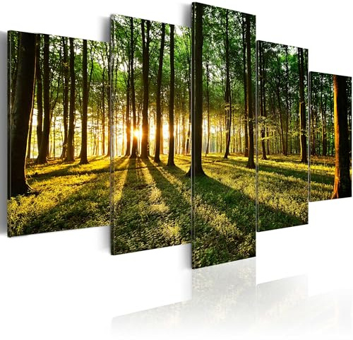 B&D XXL Acrylglasbild 200x100 cm 5 Teilig Wandbild auf Acryl Glasbilder Kunstdruck Moderne Acrylglas Platte Wanddekoration Geschenke Heimdekoration Glasbild b-B-0027-k-n