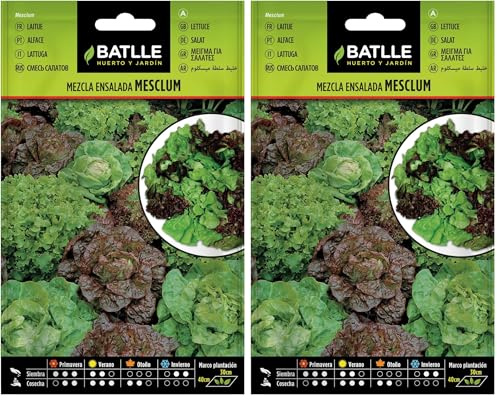 Semillas Batlle Mezcla de Ensaladas MESCLUM (Paquete de 2)