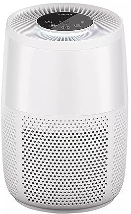 Avilia Luft-Ionisator AP100: Atmen Sie frische und gesunde Luft (weiß)