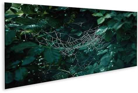 islandburner Bild auf Leinwand Taufrisches Spinnennetz im Morgengrün Bilder Wandbilder Poster
