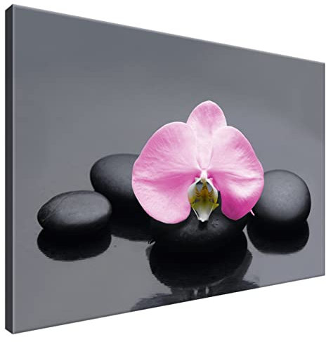 Estika Leinwand bilder - Rose Orchidee - 90x60 cm, 1 teilige kunstdruck - Wandbilder wohnzimmer, schlafzimmer, Moderne wanddeko, Bild auf leinwand - SPA bilder - 2010A_1L